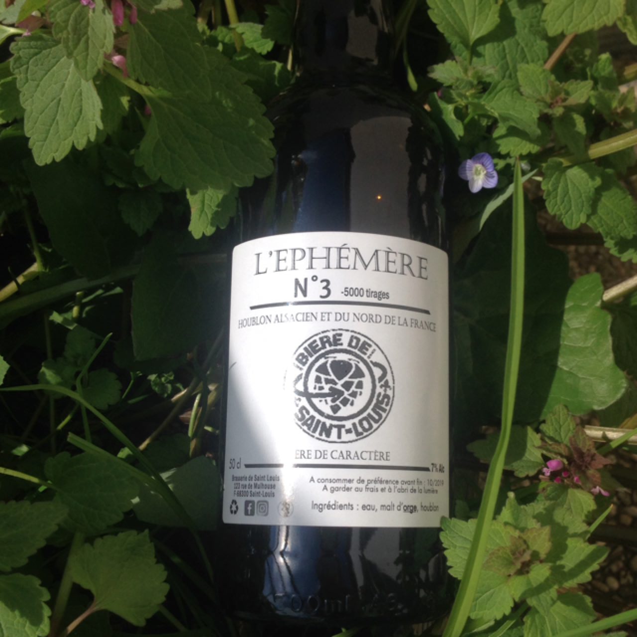 Éphémère N°3 Bière De Caractère, France