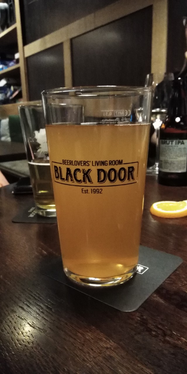 Huvila Black Door H.O.D.A, Finland