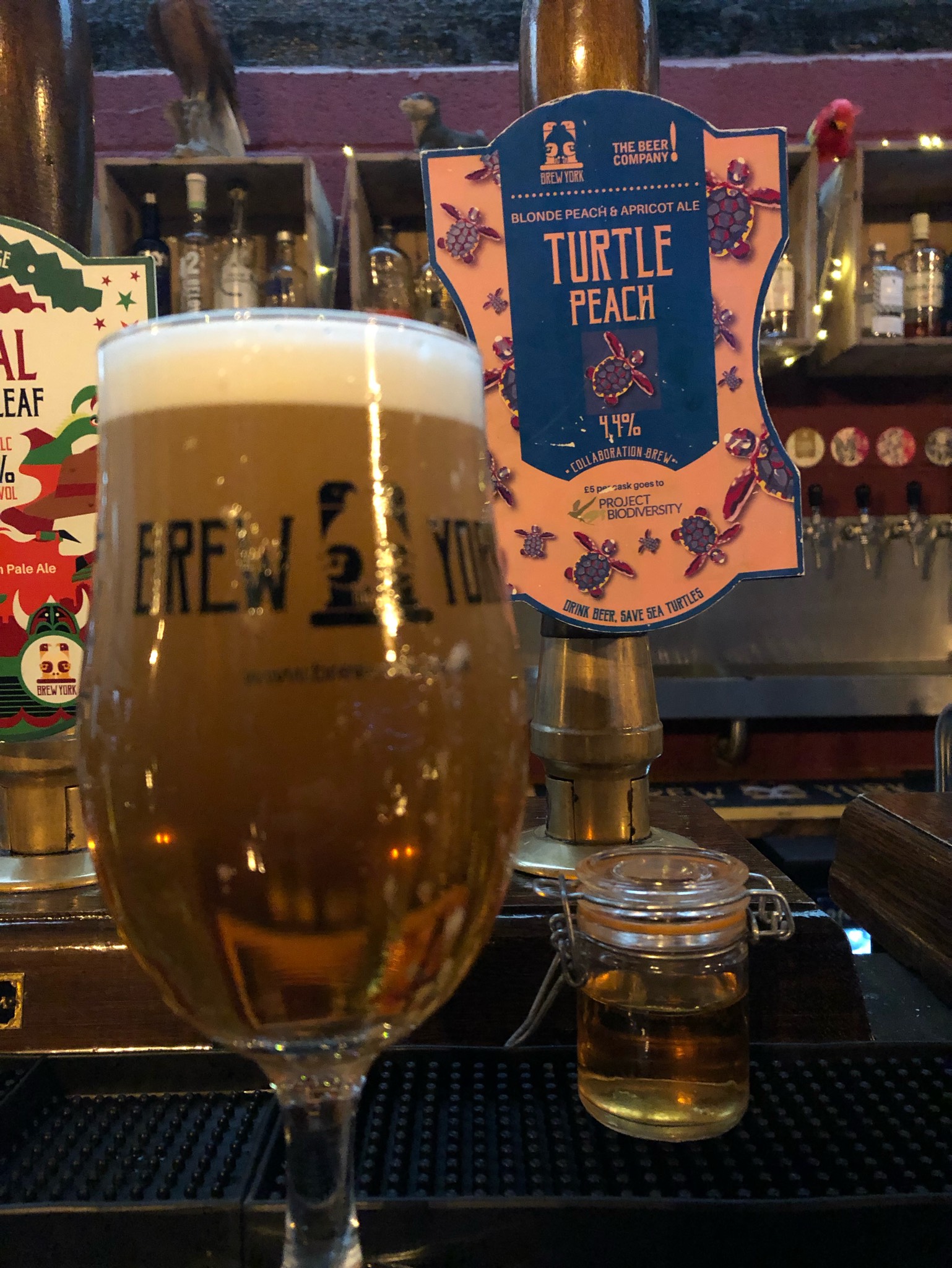 Turtle Peach, England