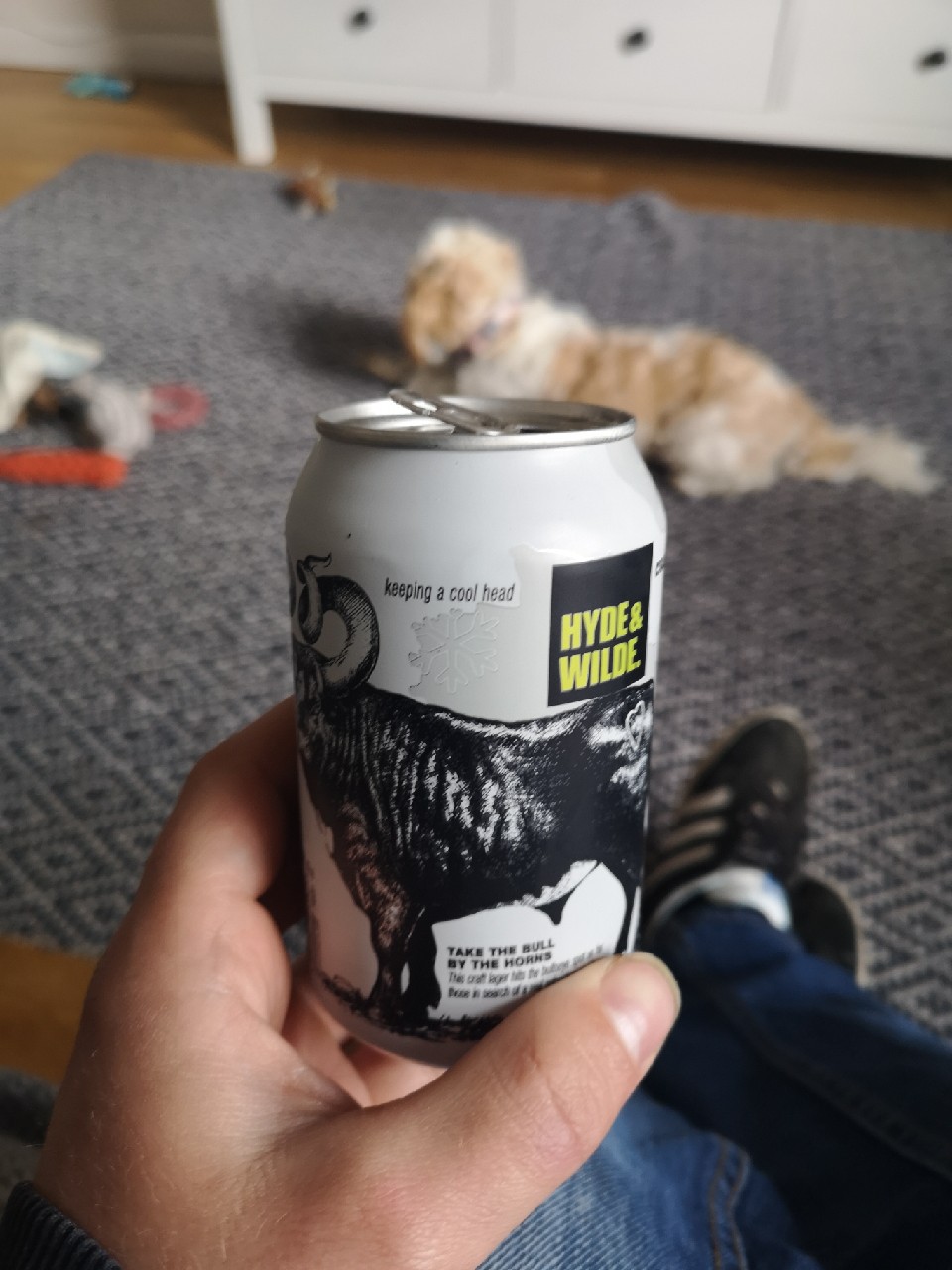 Hyde and Wilde Craft Lager, England