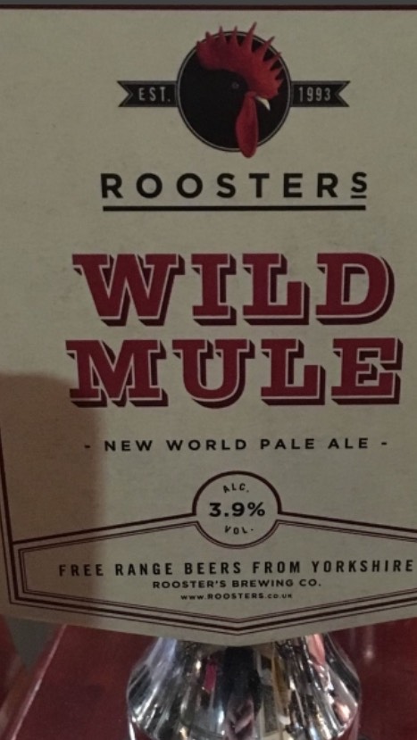 Wild Mule, England
