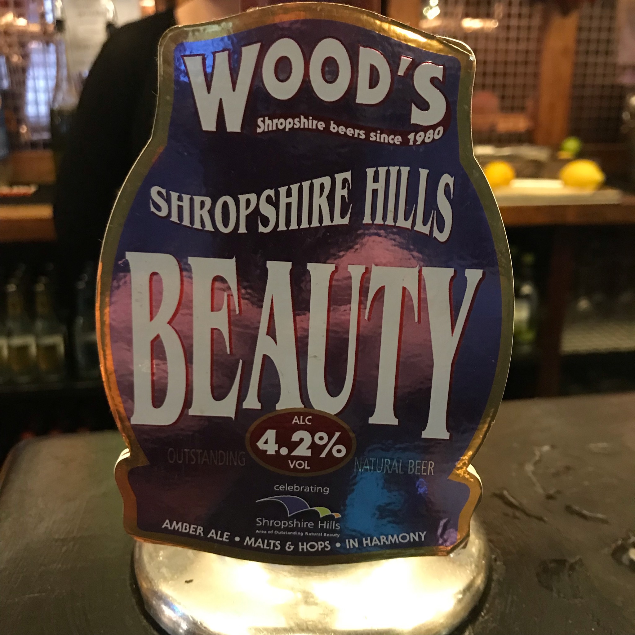 Shropshire Hills Beauty, England