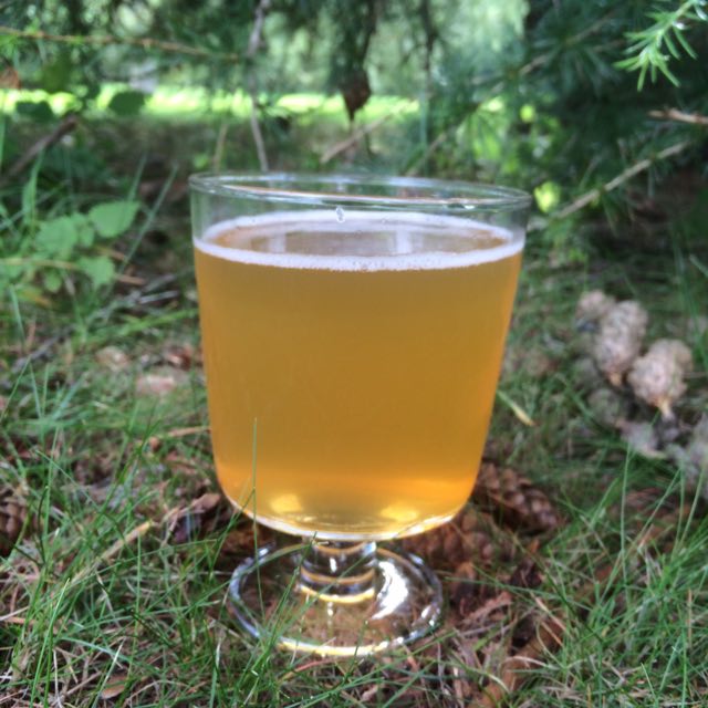 Jälkipeli 2.0, Finland