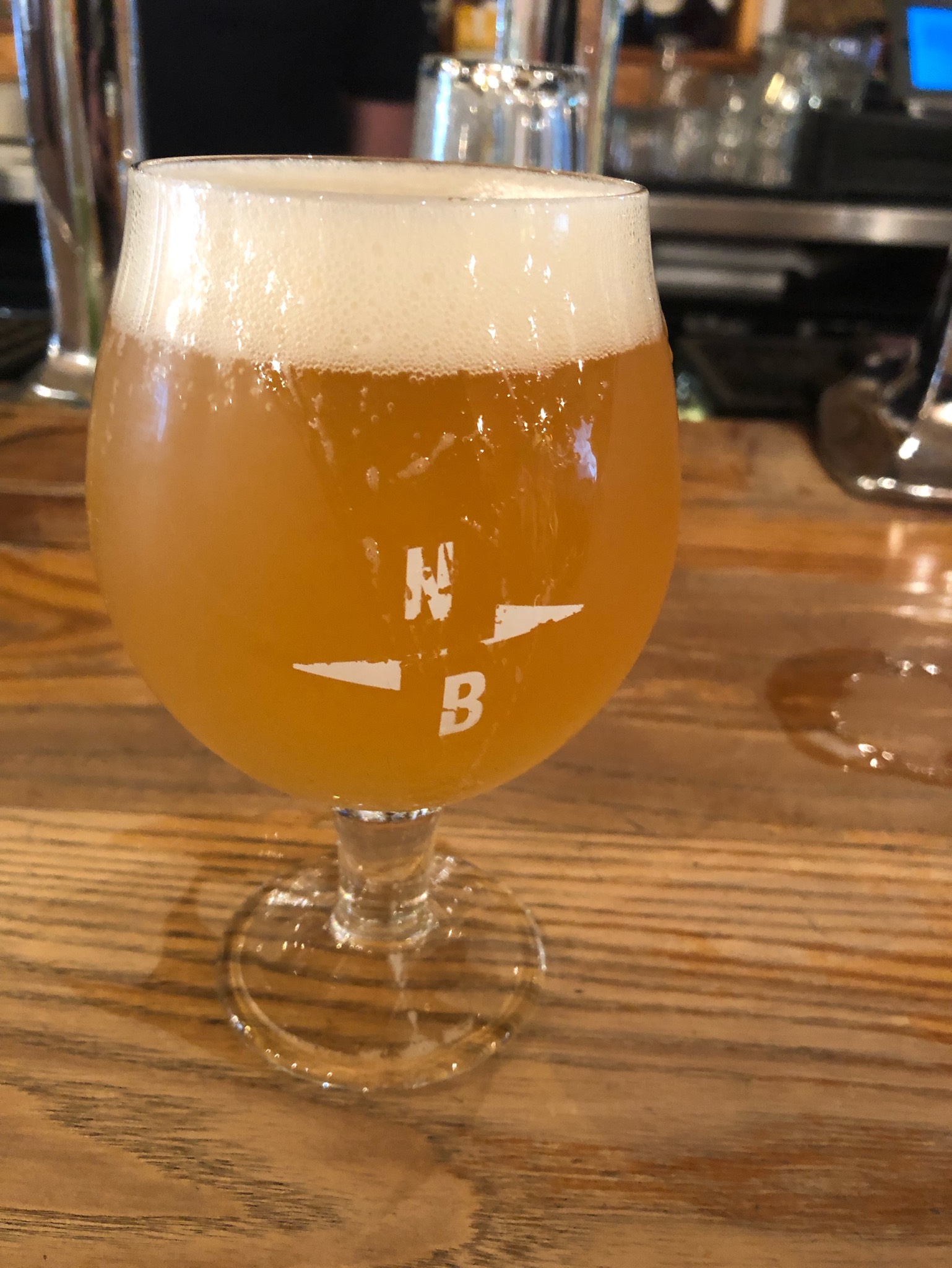 Flamin Galah, England