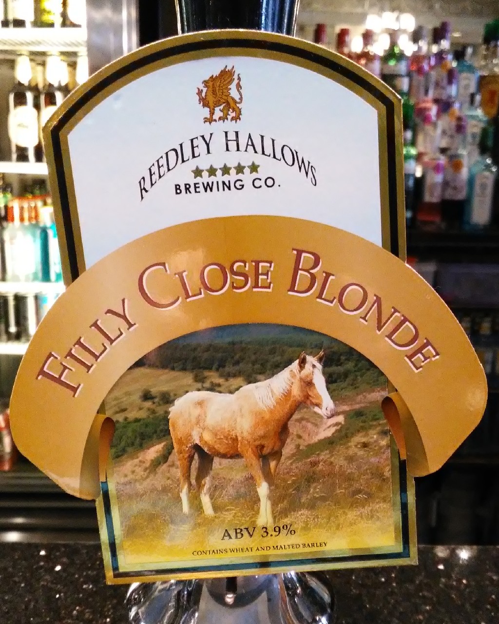 Filly Close Blonde, England