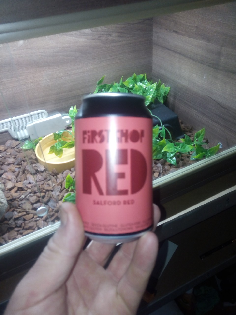 First Chop RED, England