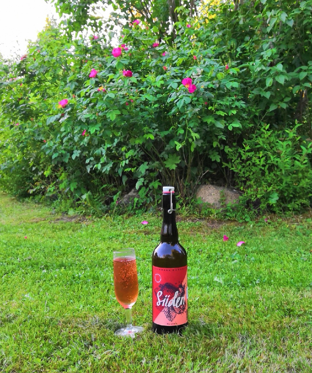 Pihamaan Maalaissiideri Mansikka, Finland