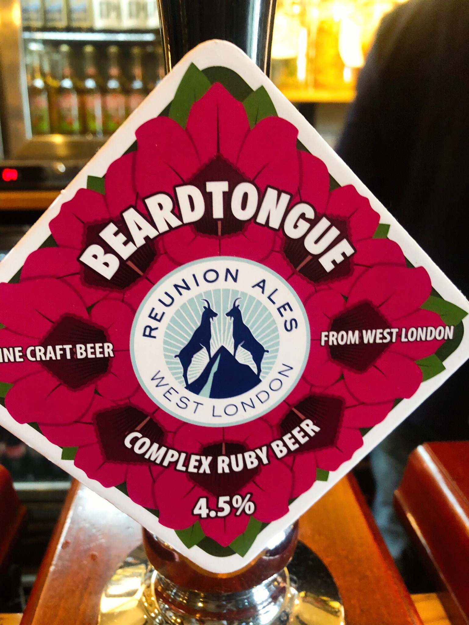 Beardtongue, England