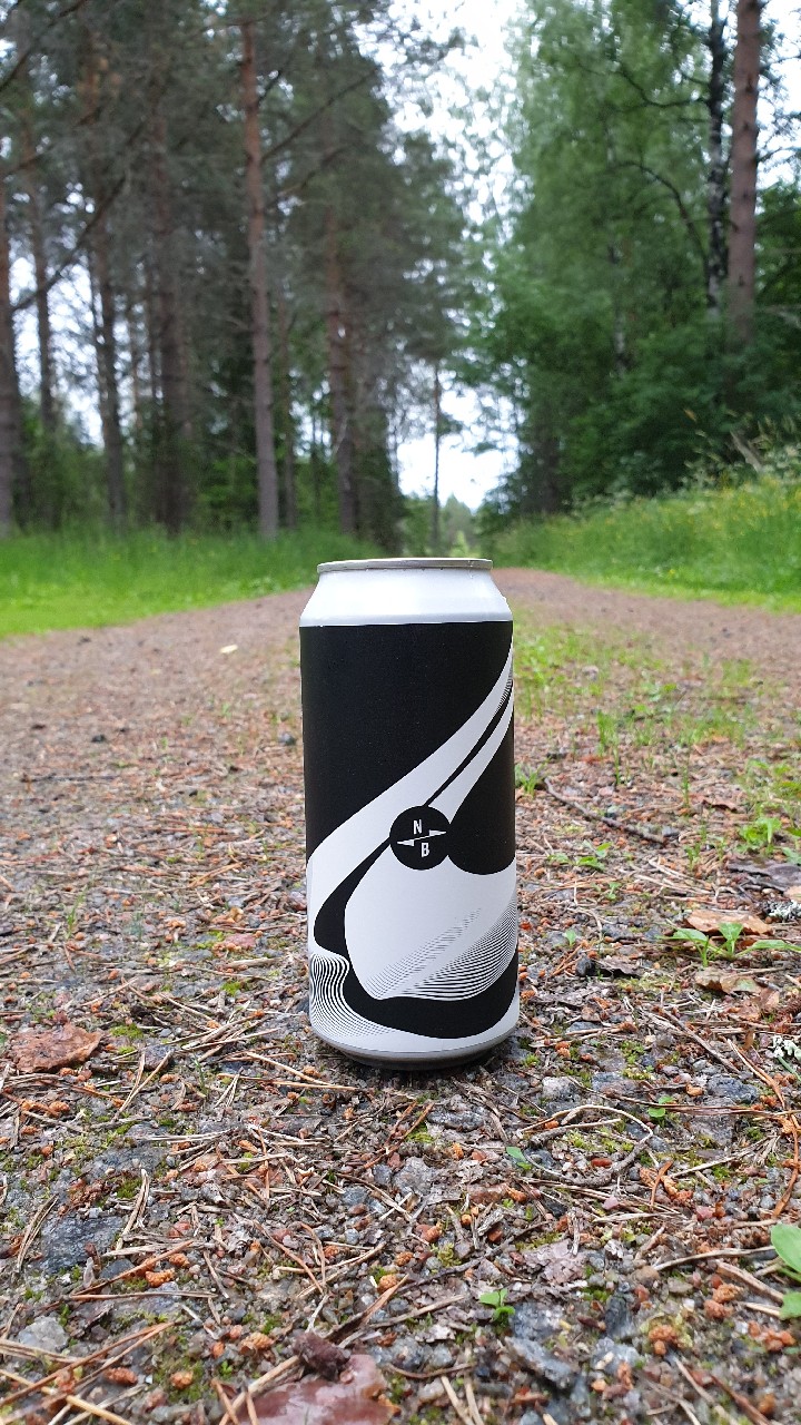 North X Zagovor Micro IPA, England