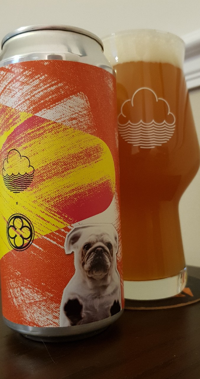 Wildly Yawning Tired Inverted Doggo, England