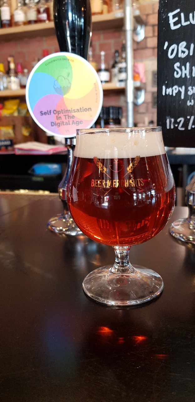 Self Optimisation In The Digital Age, England