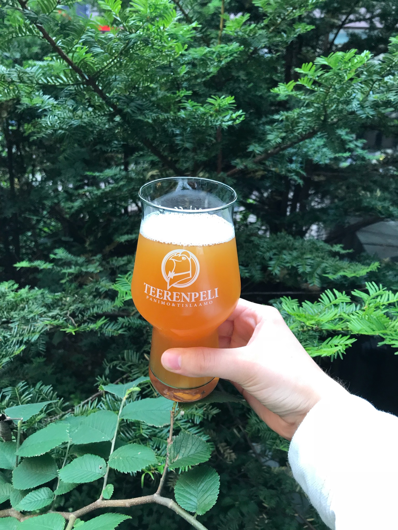 DDH Hopfenweizen, Finland