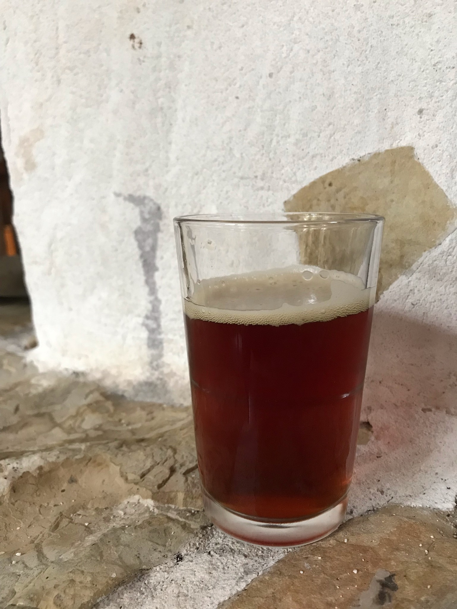 Rodtsenkov, Panibirra