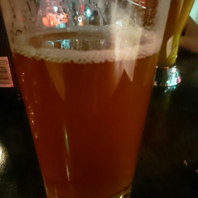 Bruxellensis Lupus, Finland