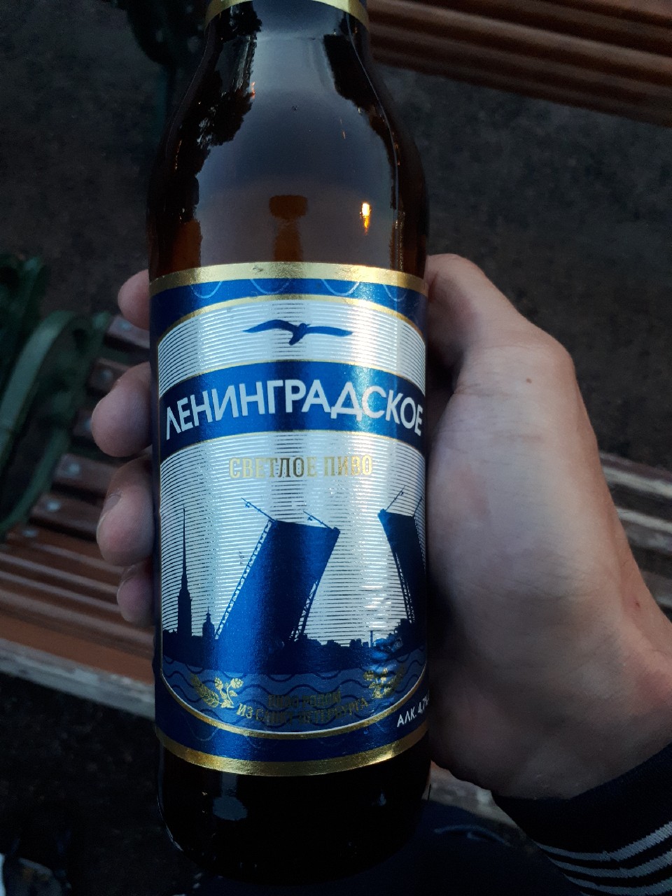 Leningradskoe Svetloe / Ленинградское Светлое, Russia