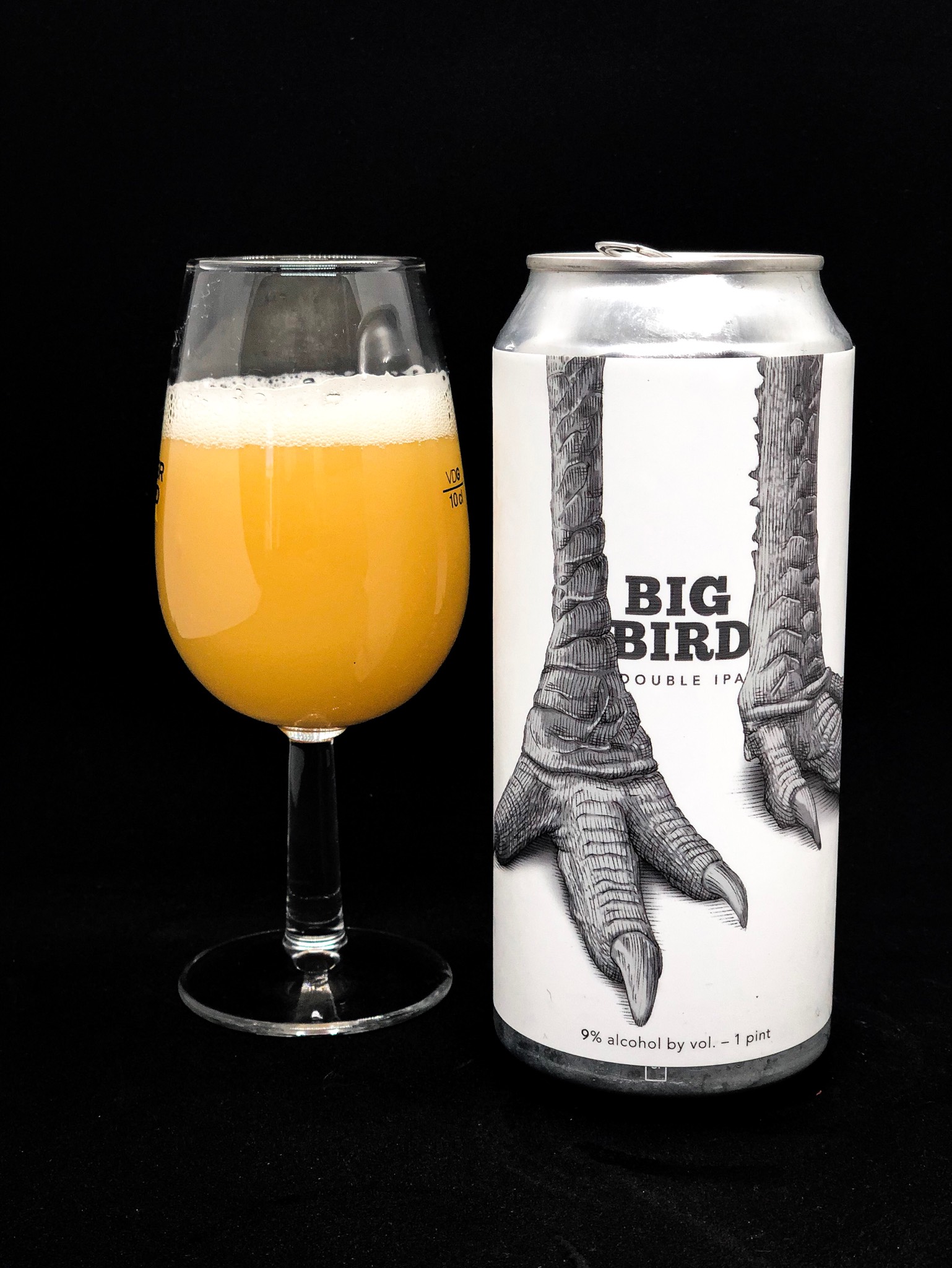 Big Bird 2019, United States