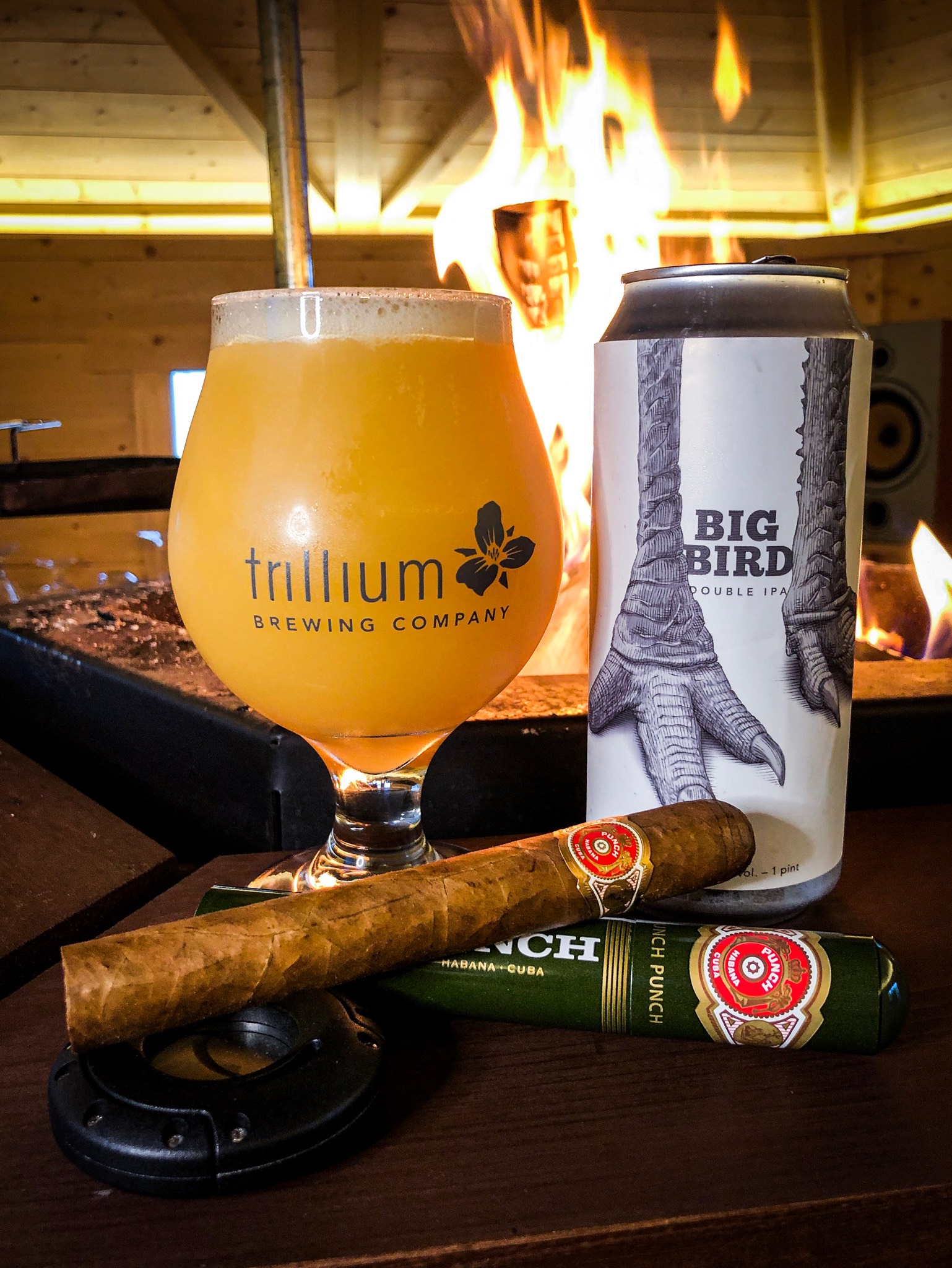 Big Bird 2019, United States