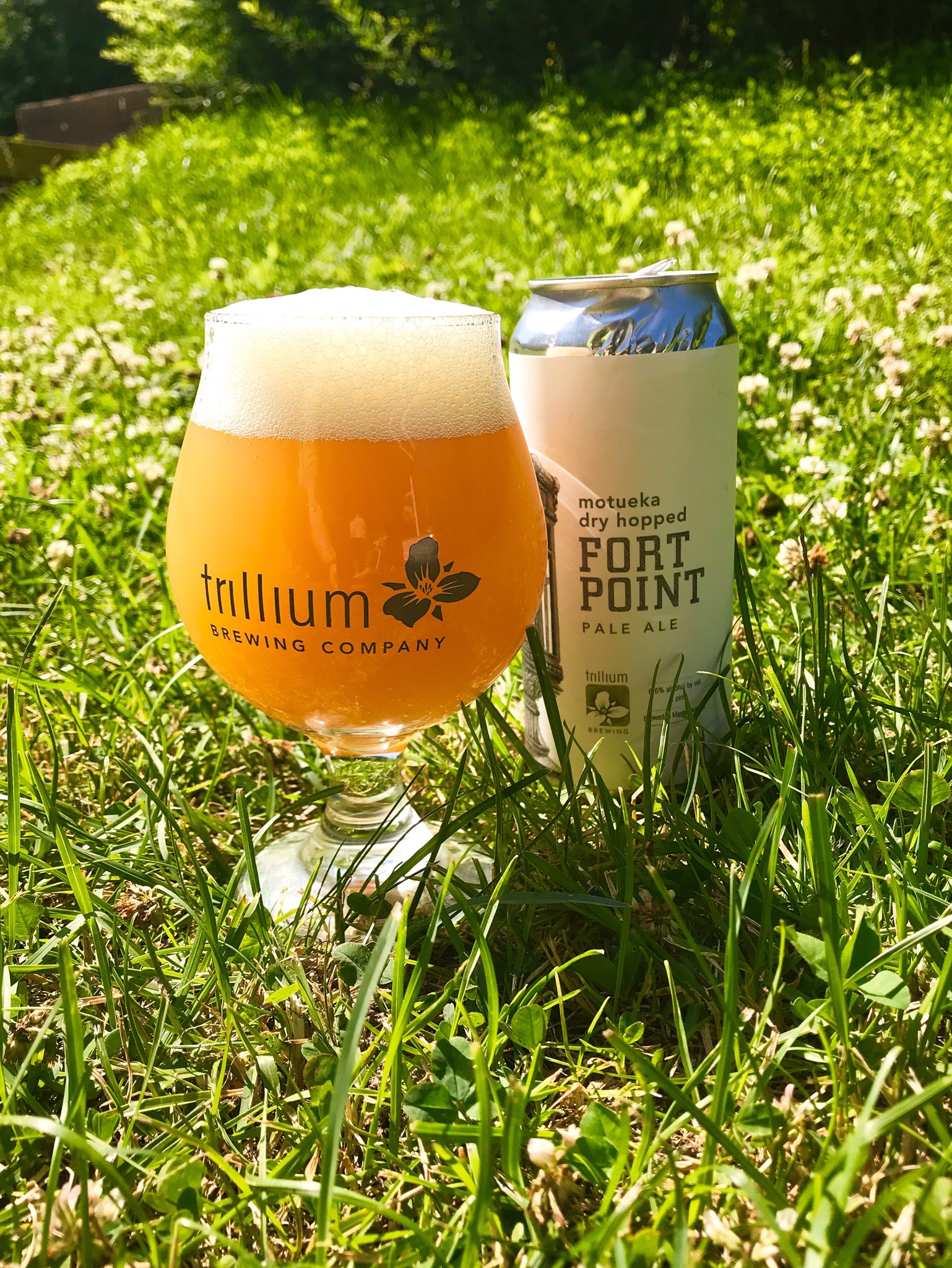 Motueka Dry Hopped Fort Point, United States