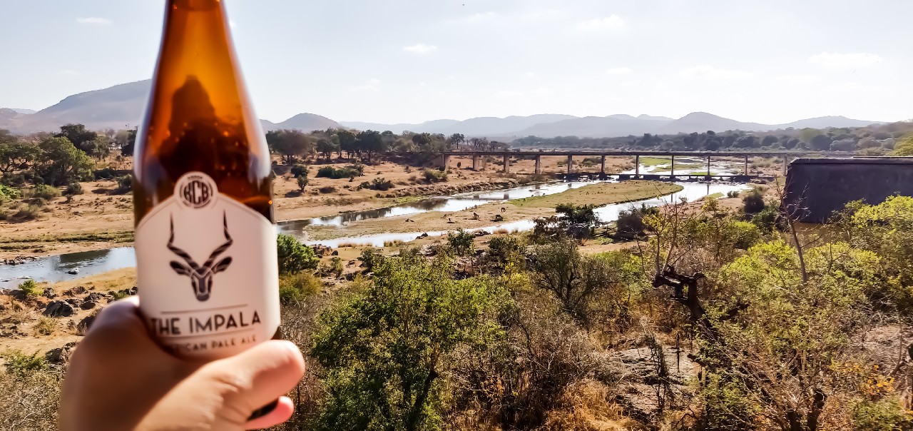 The Impala, South Africa
