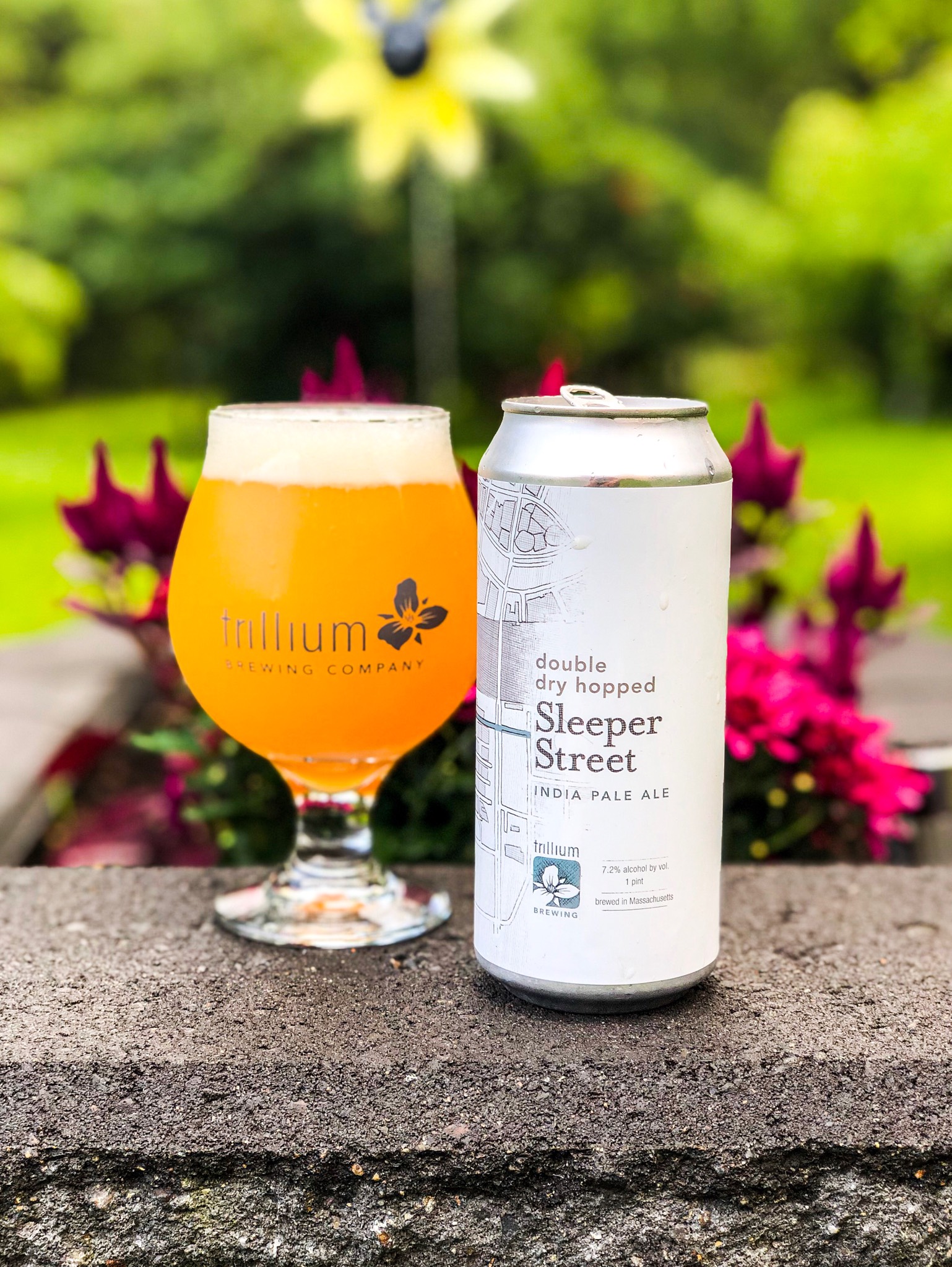 Double Dry Hopped Sleeper Street, United States
