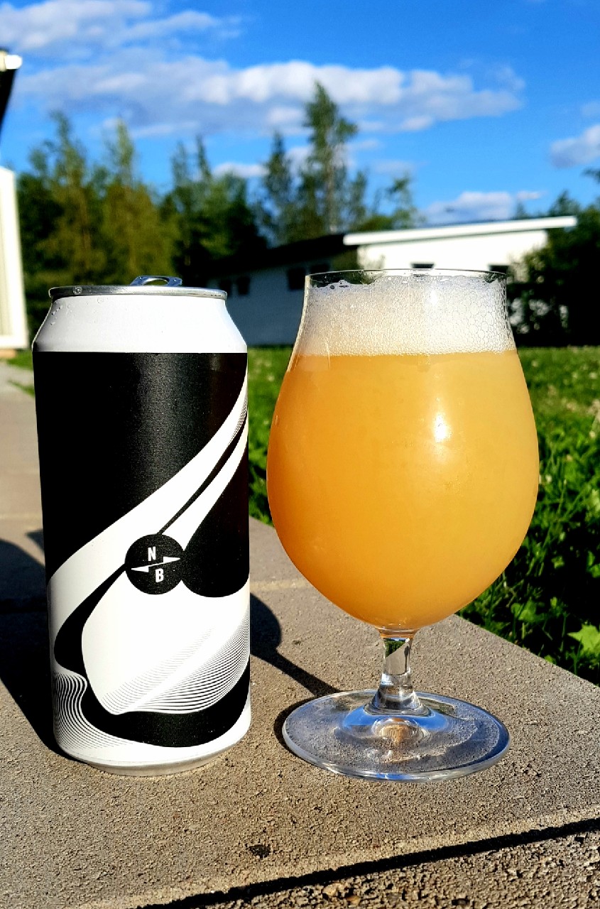 North X Zagovor Micro IPA, England