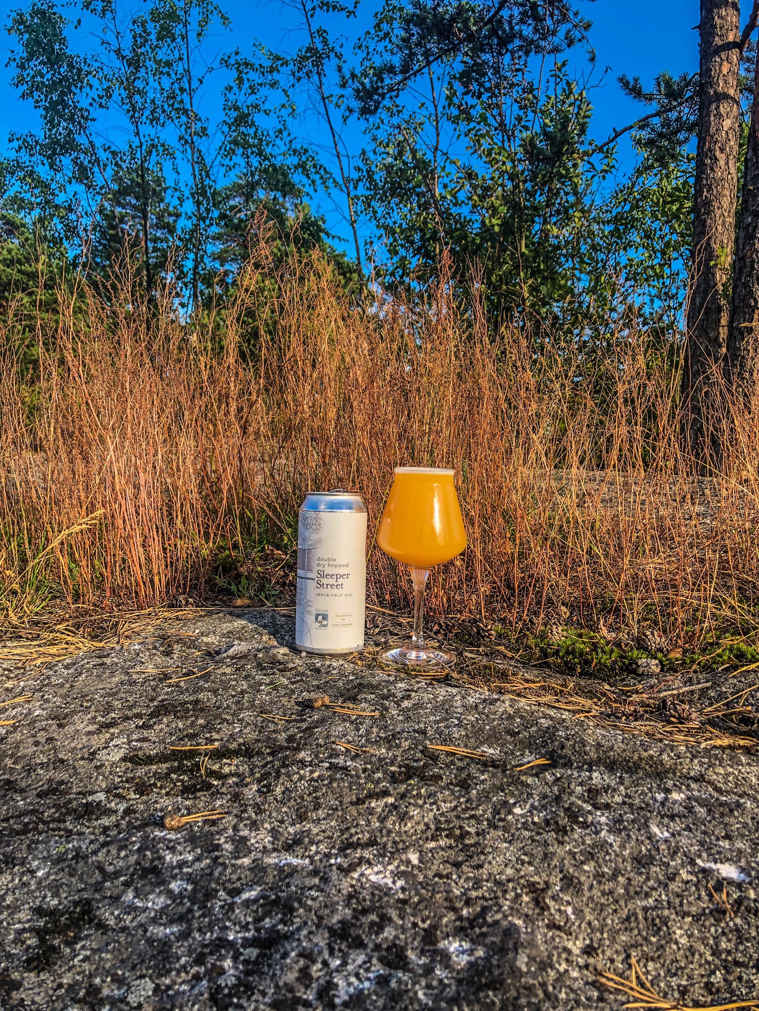 Double Dry Hopped Sleeper Street, United States