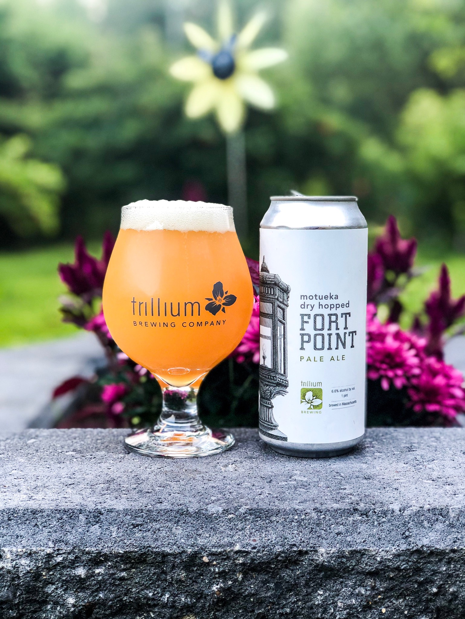 Motueka Dry Hopped Fort Point, United States