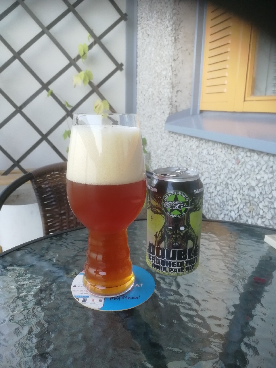 Double Crooked Tree IPA, United States