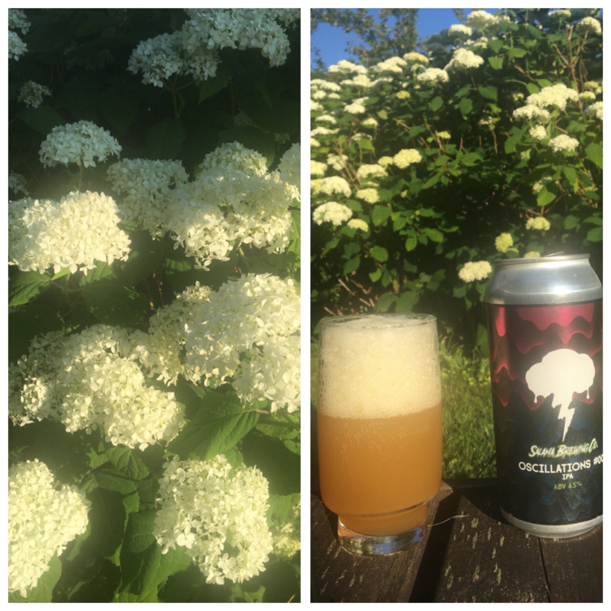 Oscillations #001, Finland