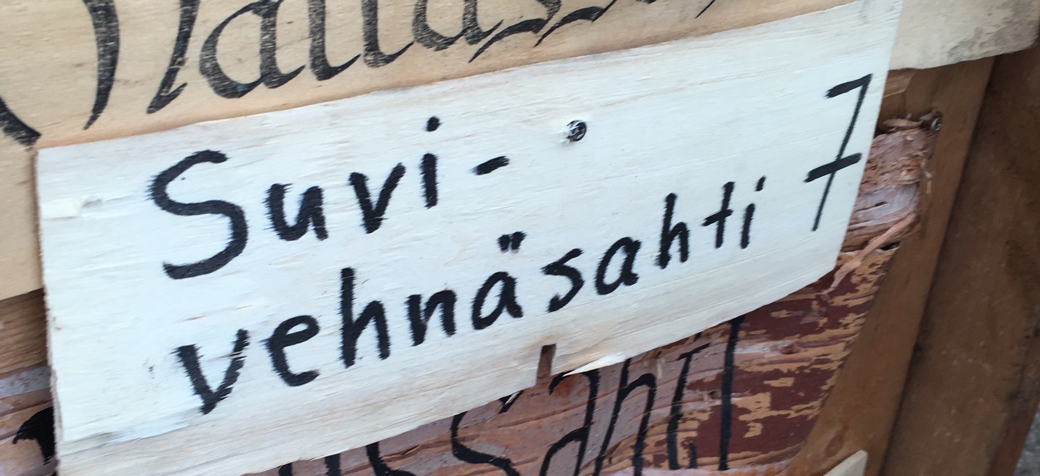 Suvi-vehnäsahti, Finland