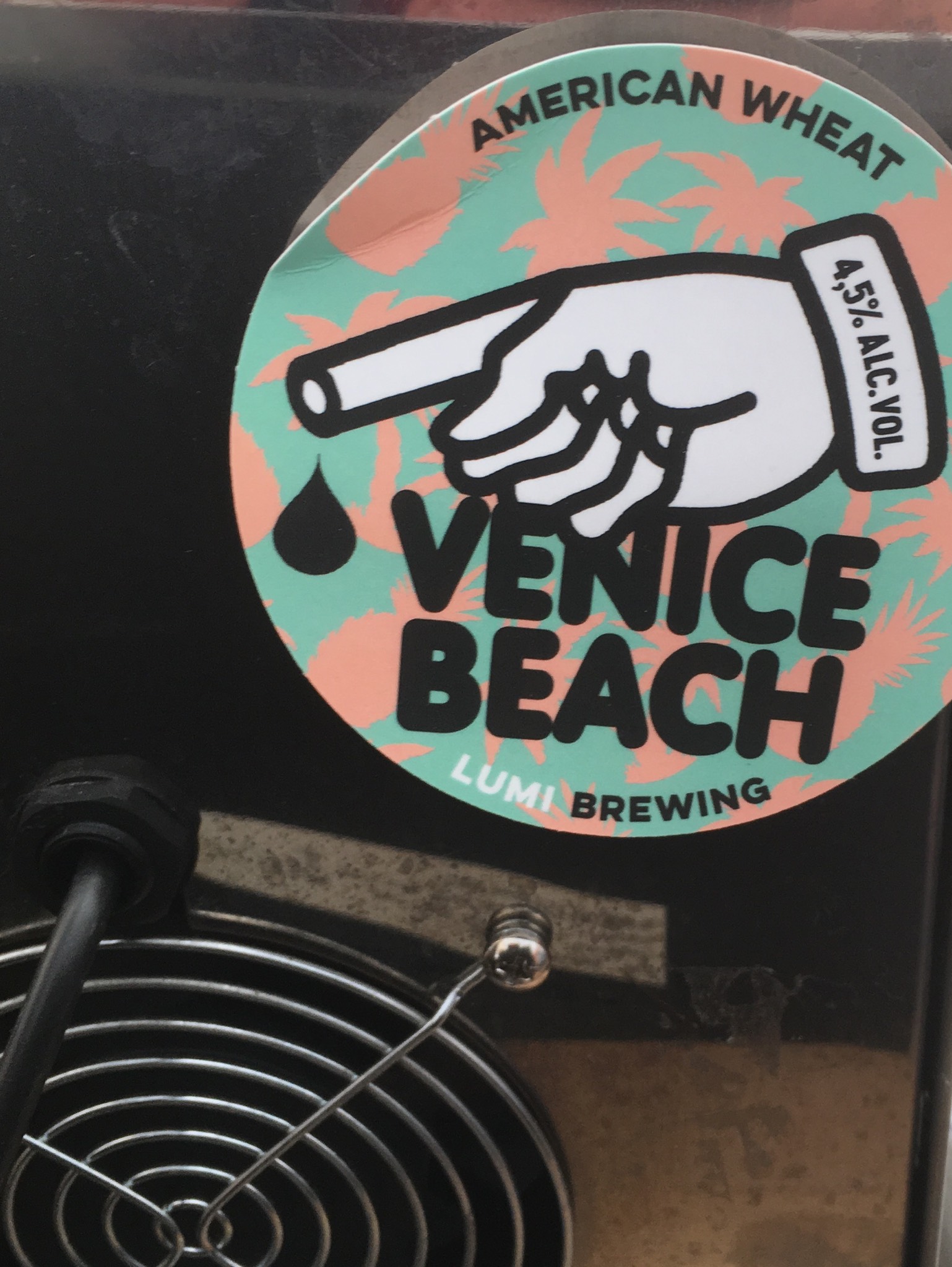 venice beach, Finland