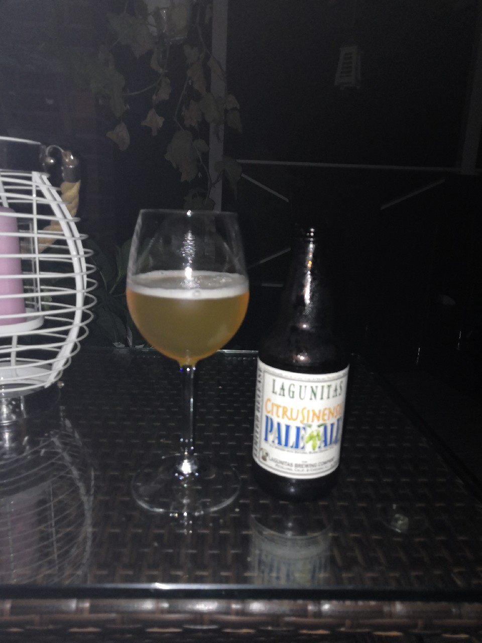 CitruSinensis Pale Ale (2019), United States