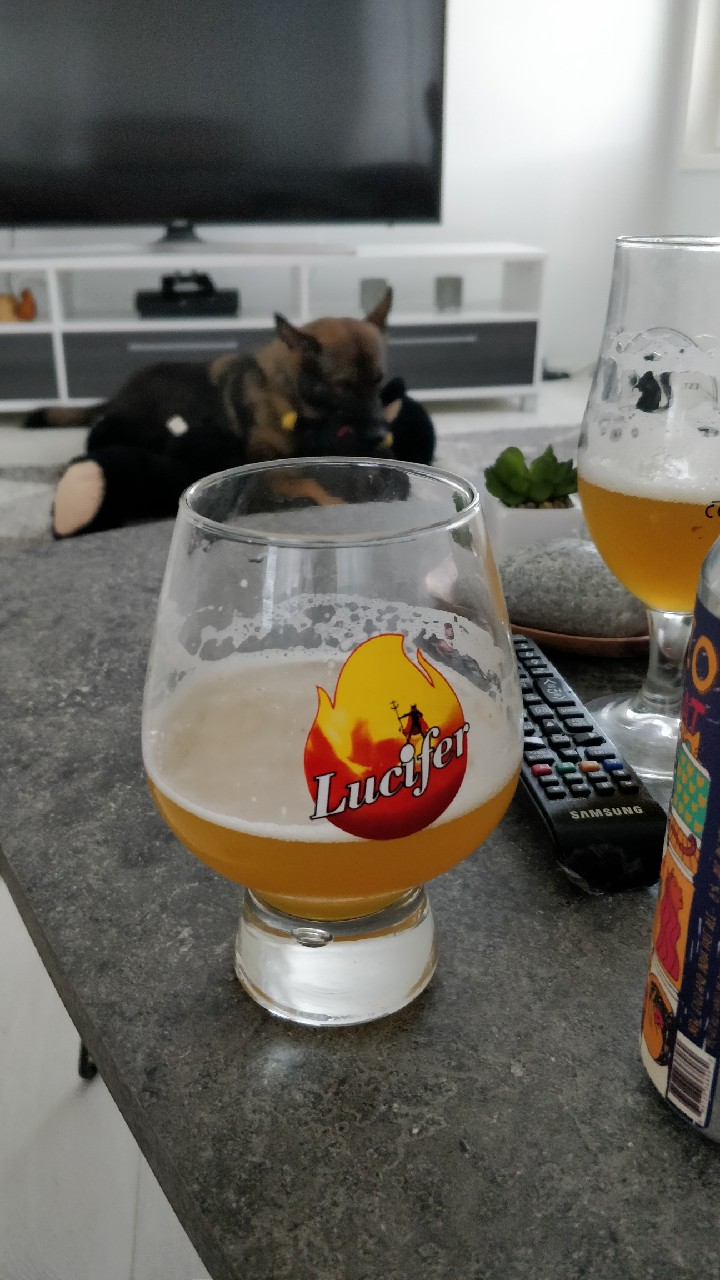 Lorenzo The Beer Cat, United States