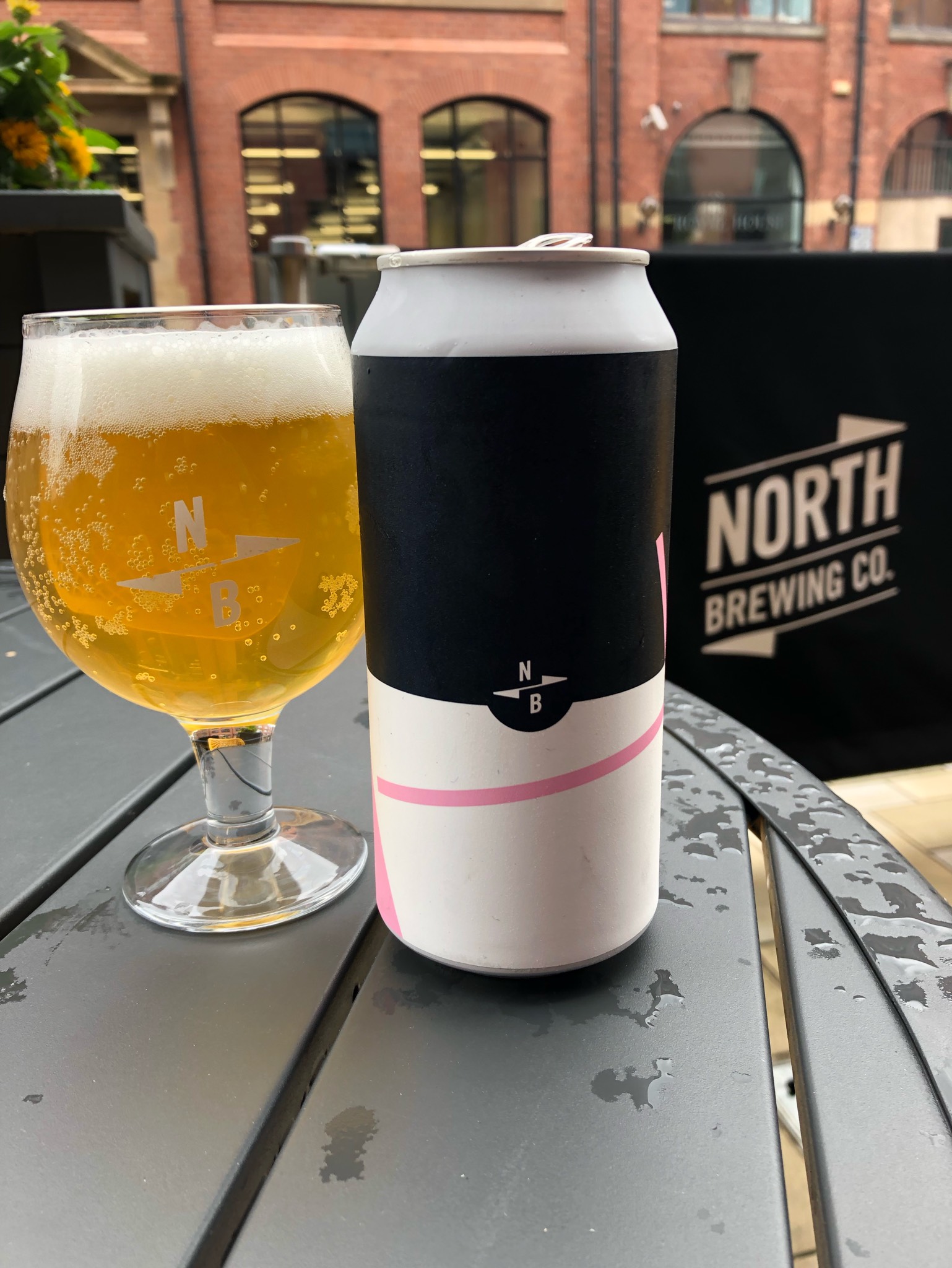 North X Temescal Lager, England