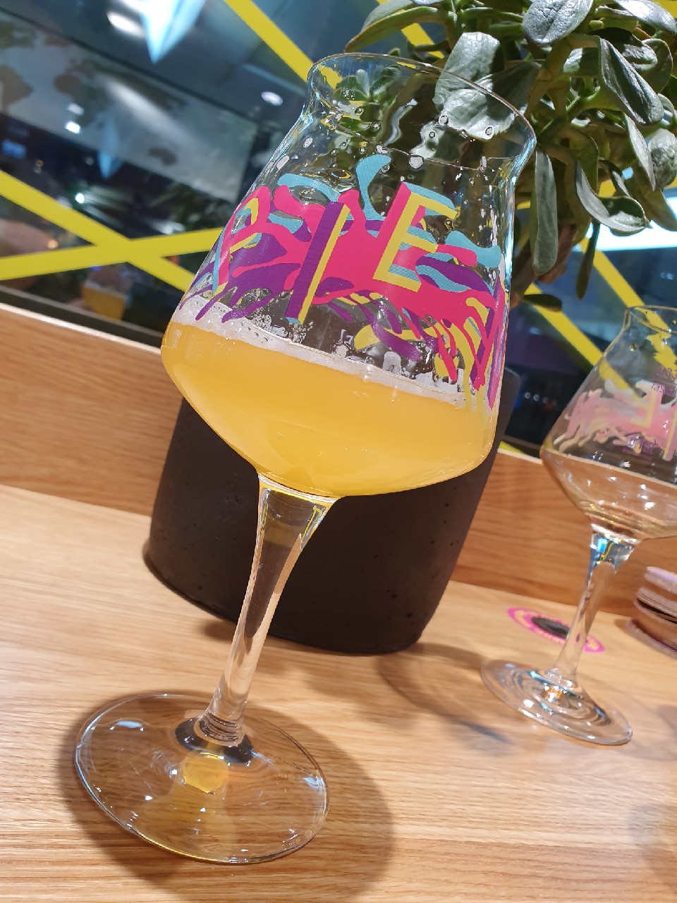 Surfing sucks (don't try it), United States