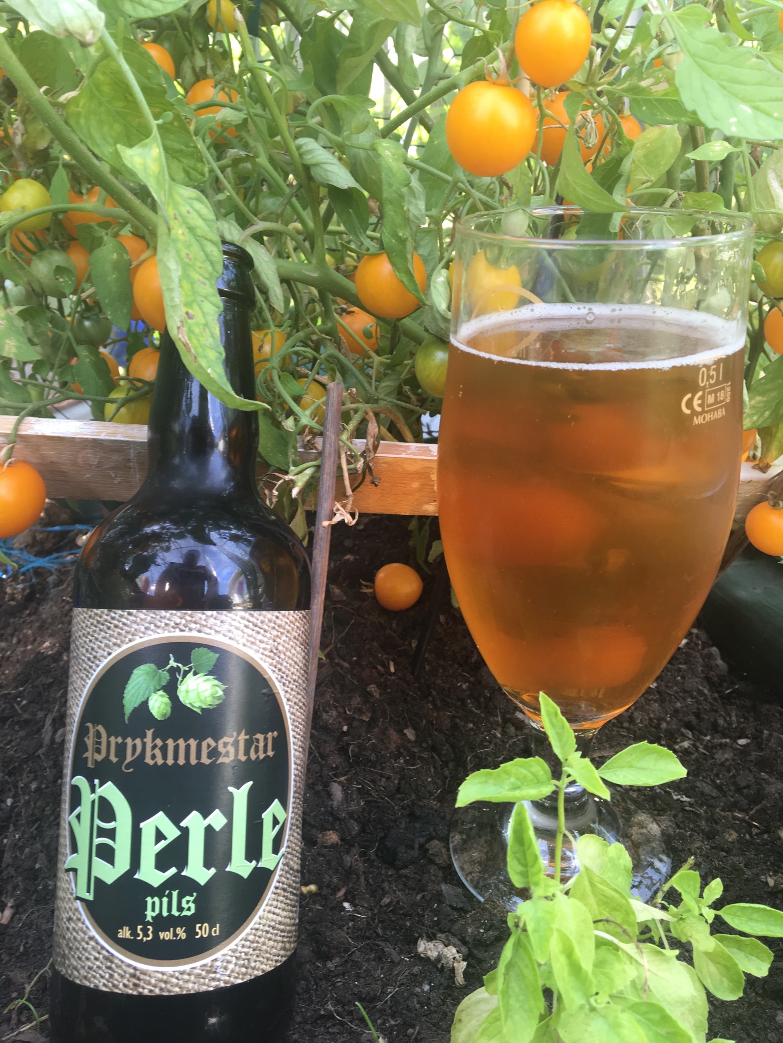 Prykmestar Perle Pils, Finland