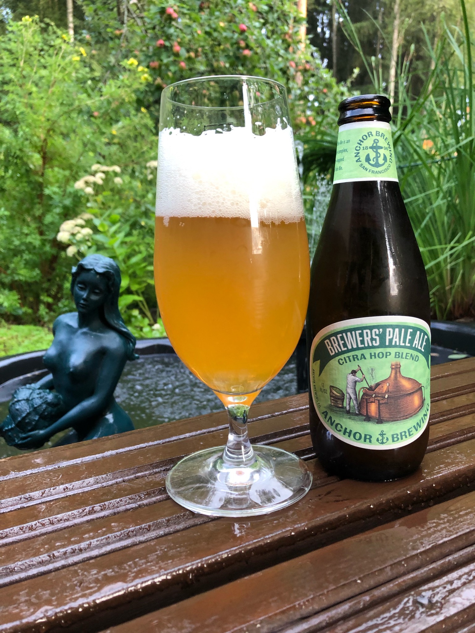 Brewer's Pale Ale Citra Hop Blend, United States