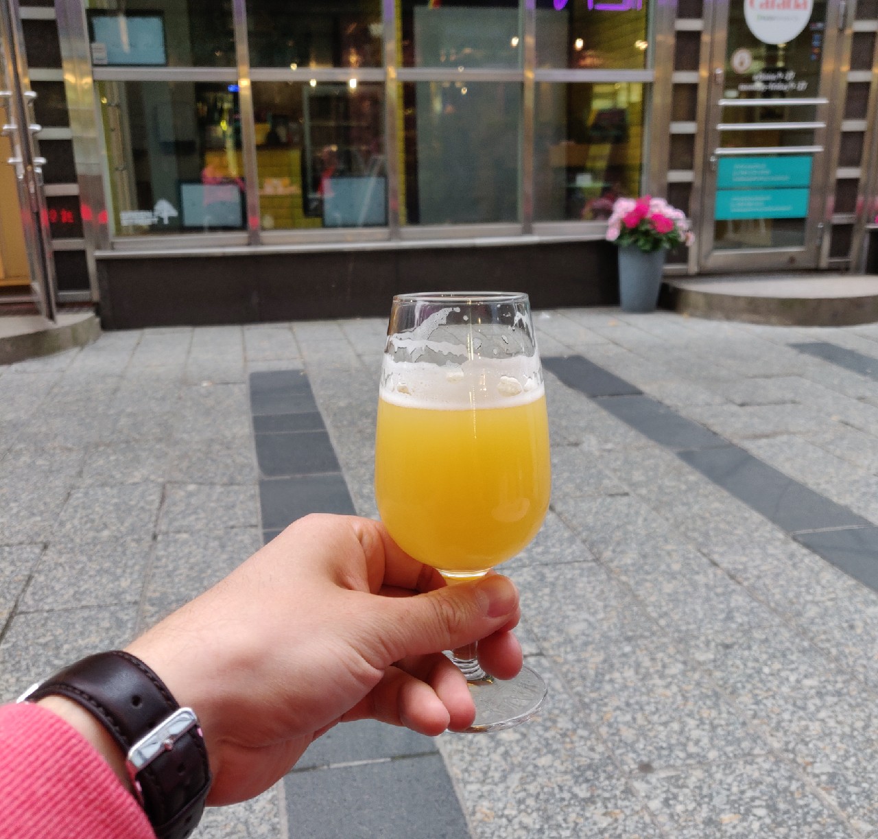 Song Of The Whale, United States