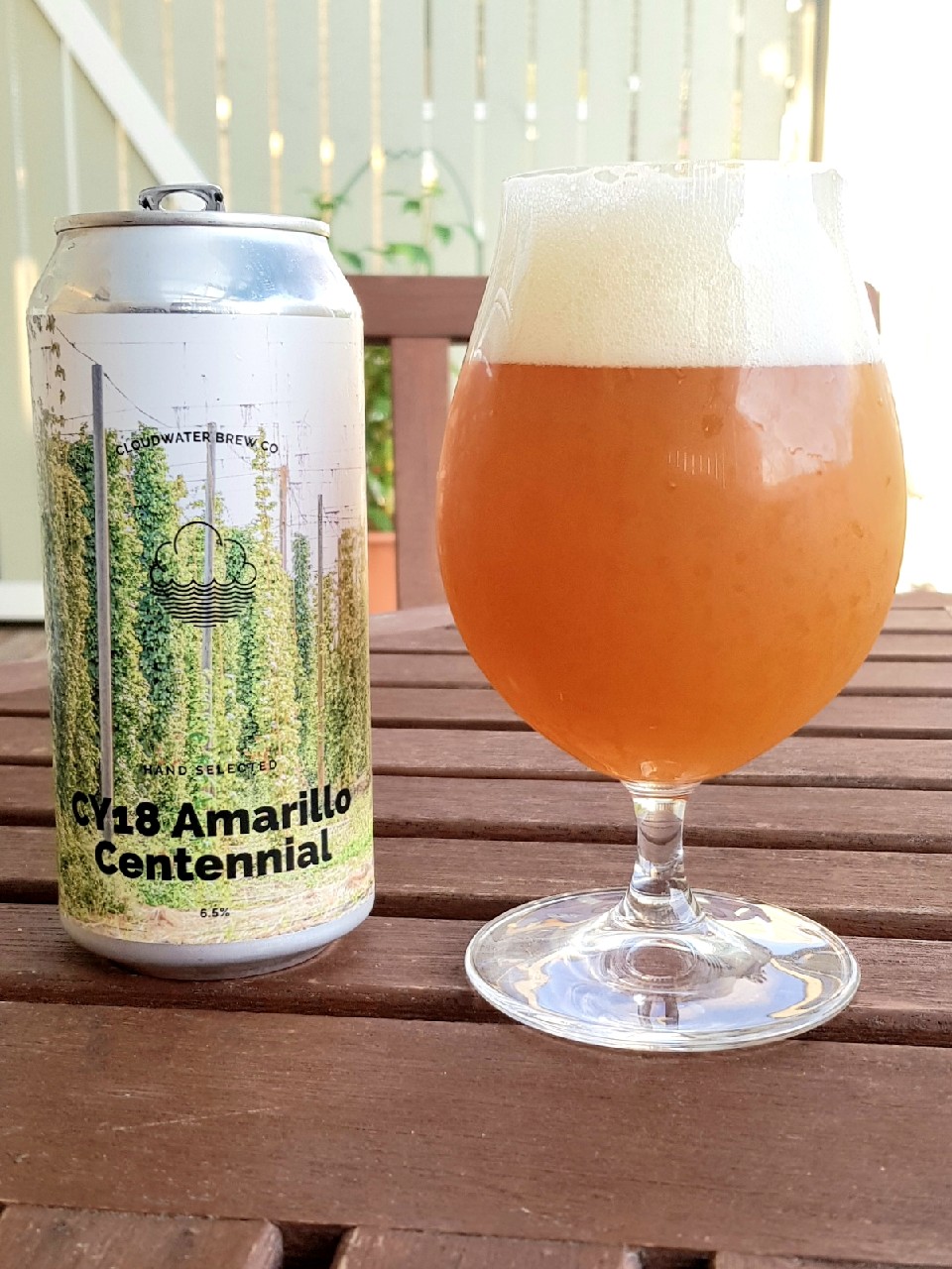 CY18 Amarillo & Centennial, England