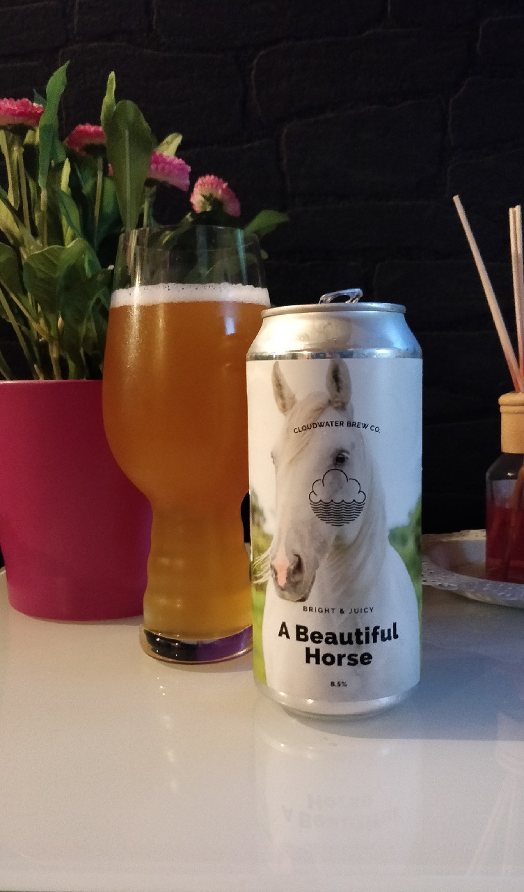 A Beautiful Horse, England