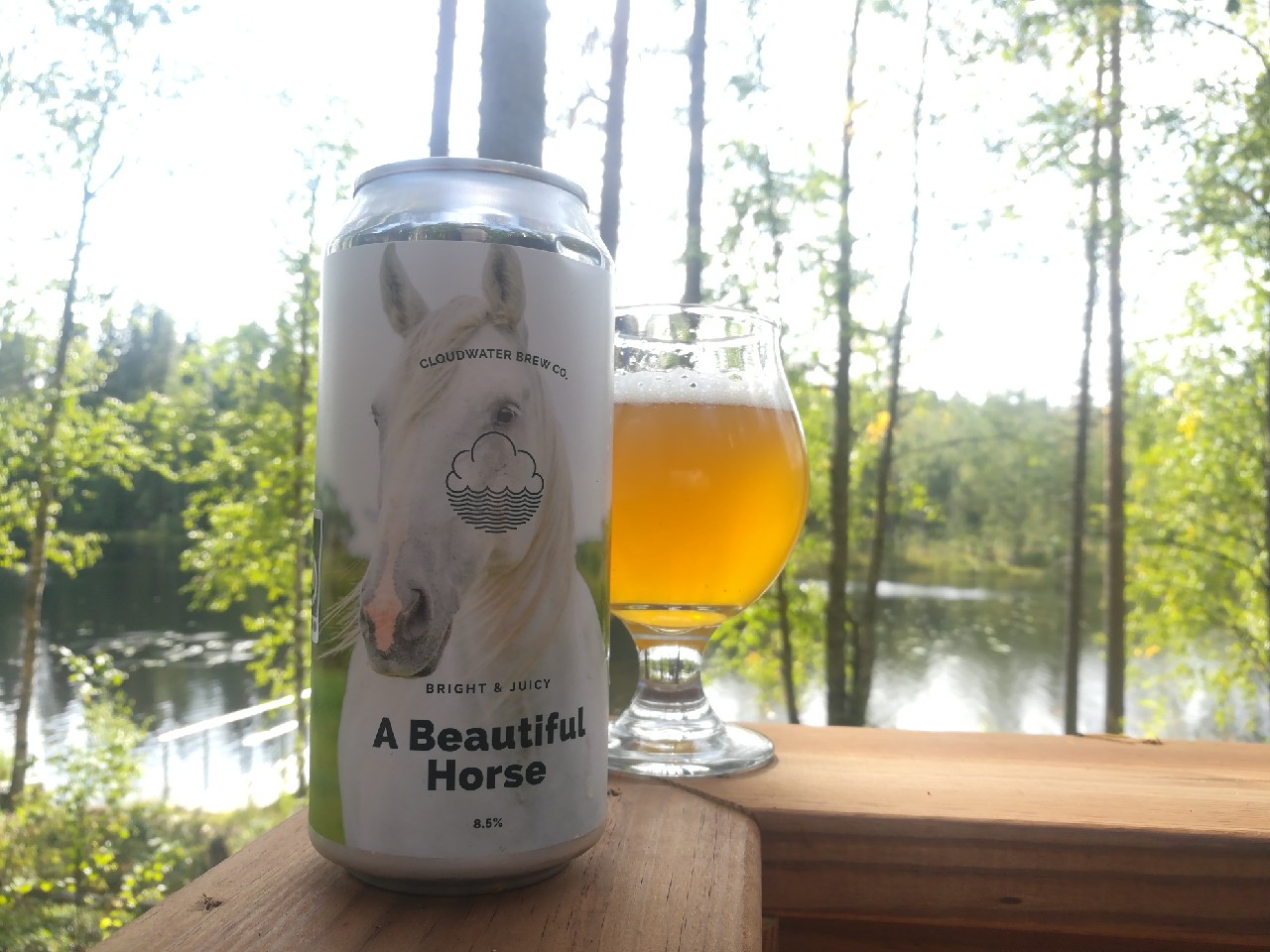 A Beautiful Horse, England