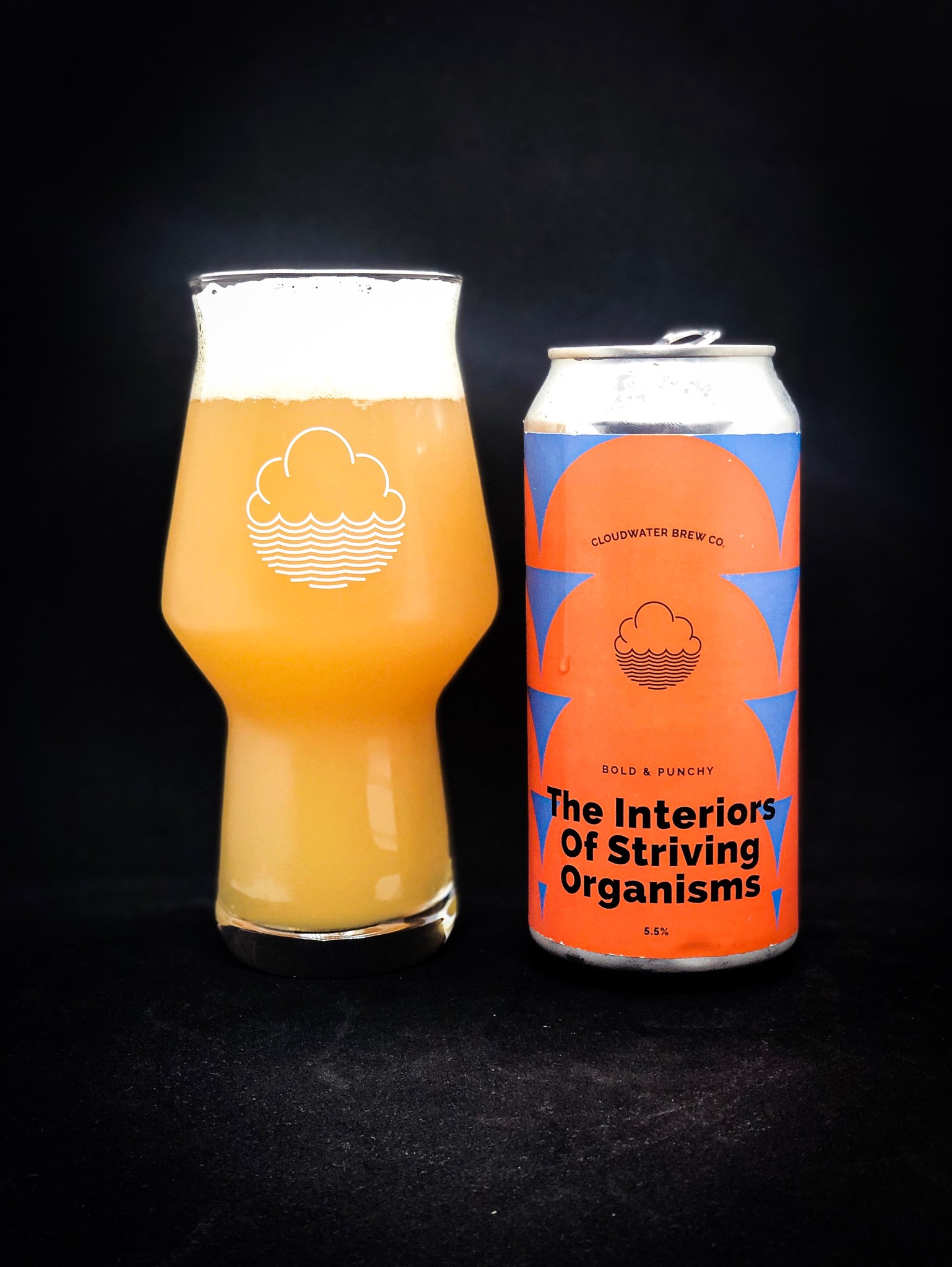 The Interiors Of Striving Organisms, England