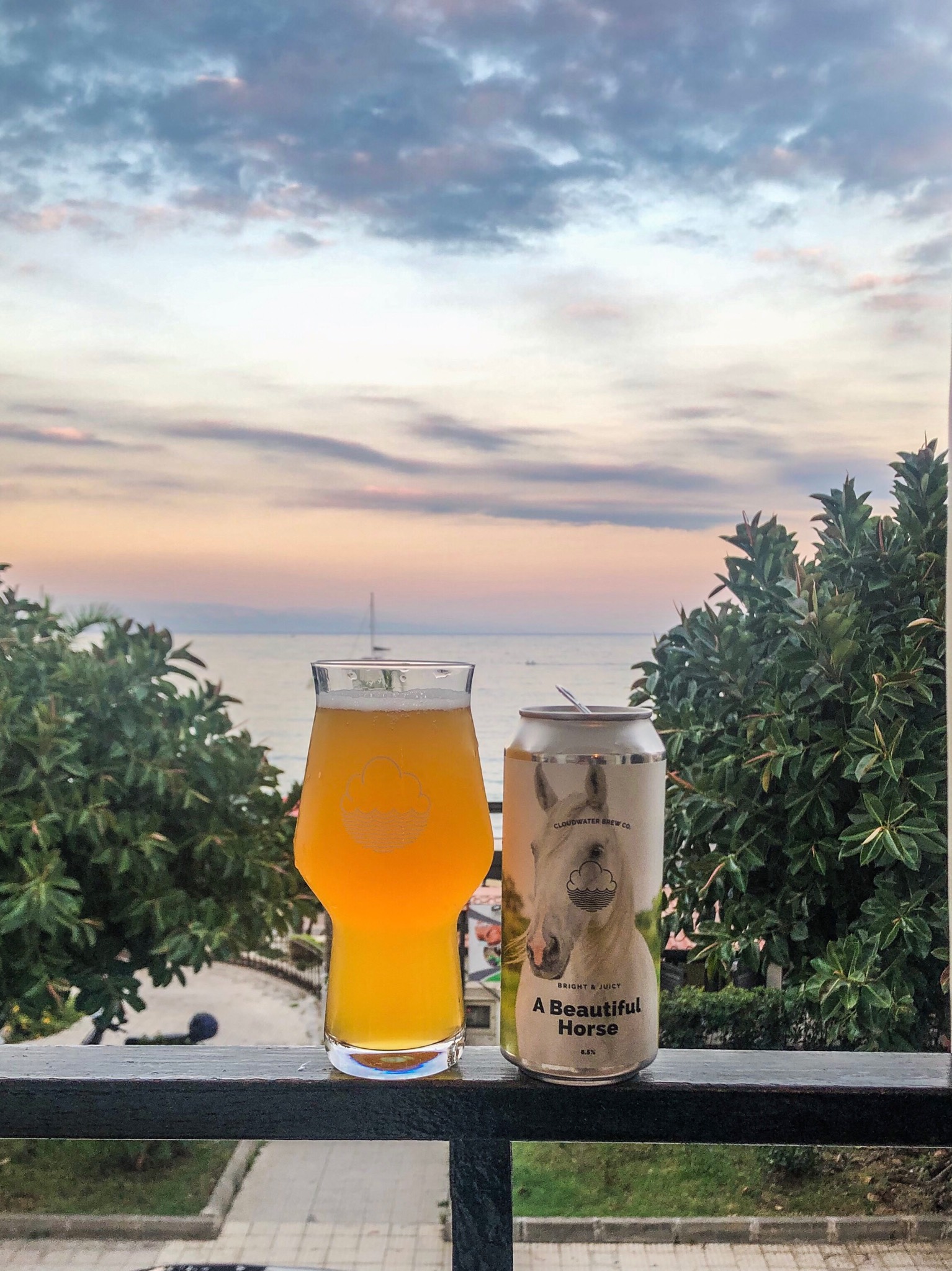 A Beautiful Horse, England