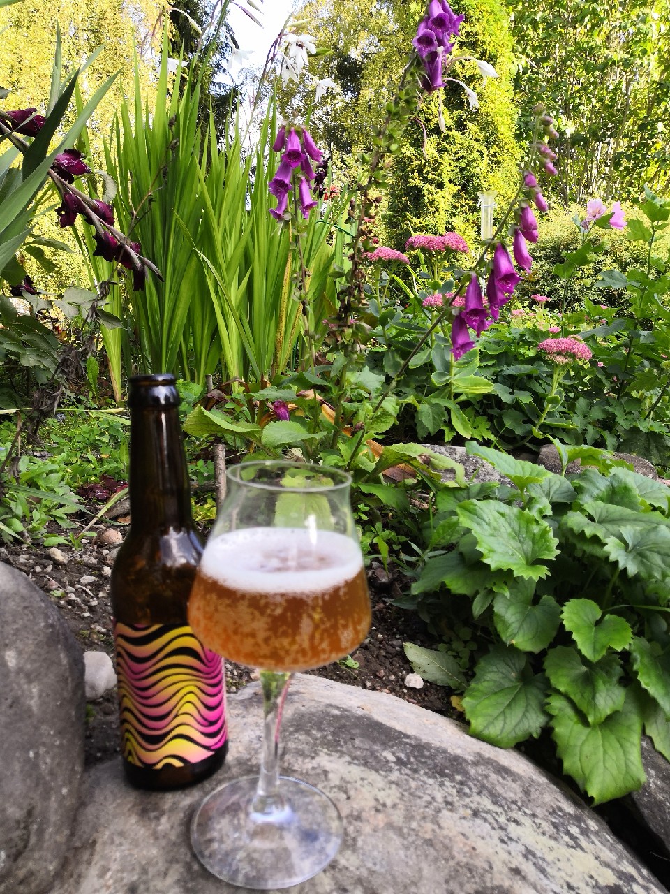 Kaupungin Äänet 2019, Finland