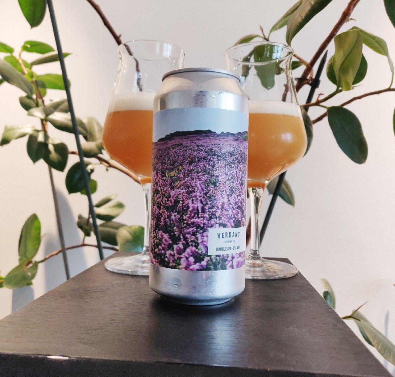 Loud Charge, England