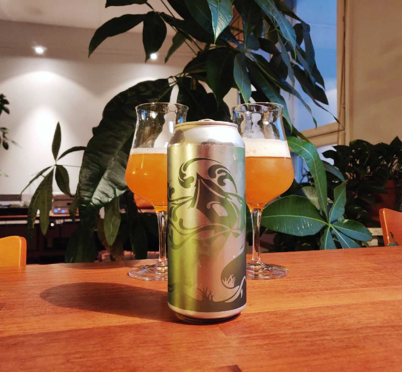 Dear Washington, United States