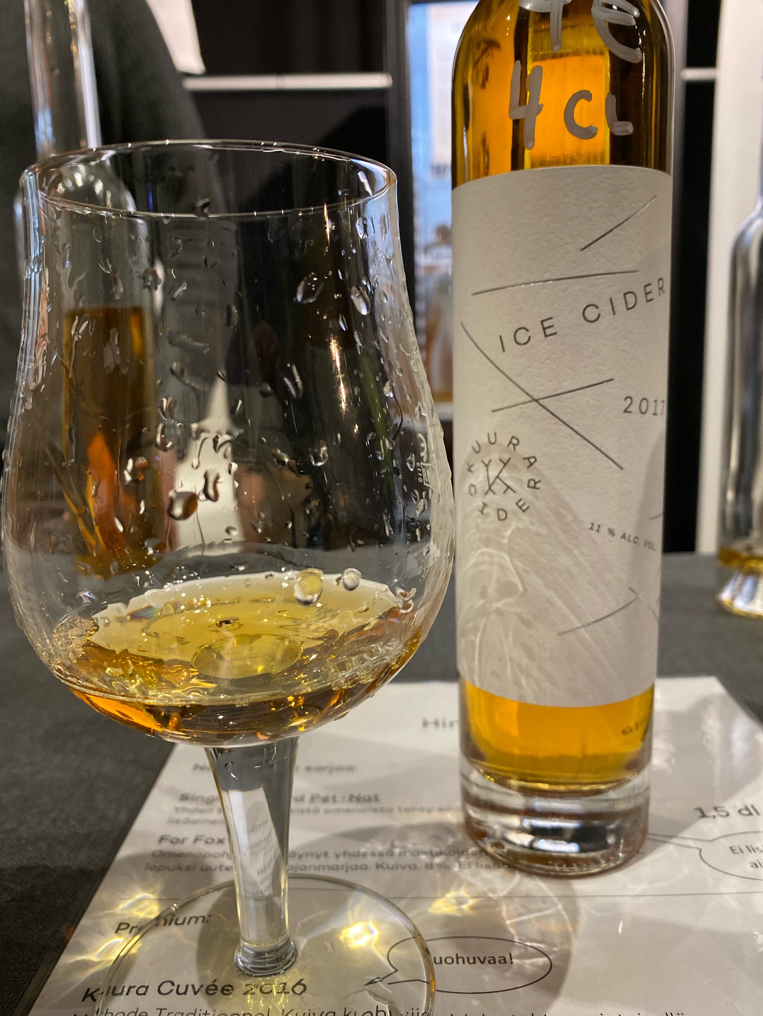 Ice Cider 2017, Finland