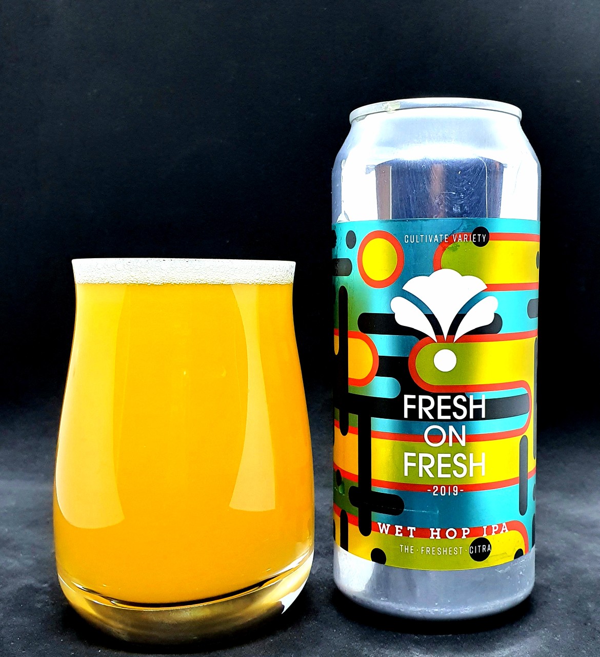 fresh on fresh 2019, United States