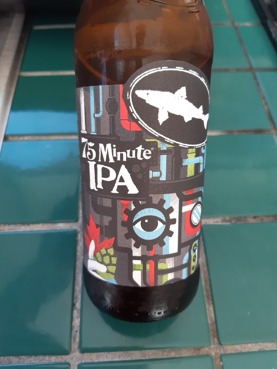 75 Minute IPA, United States