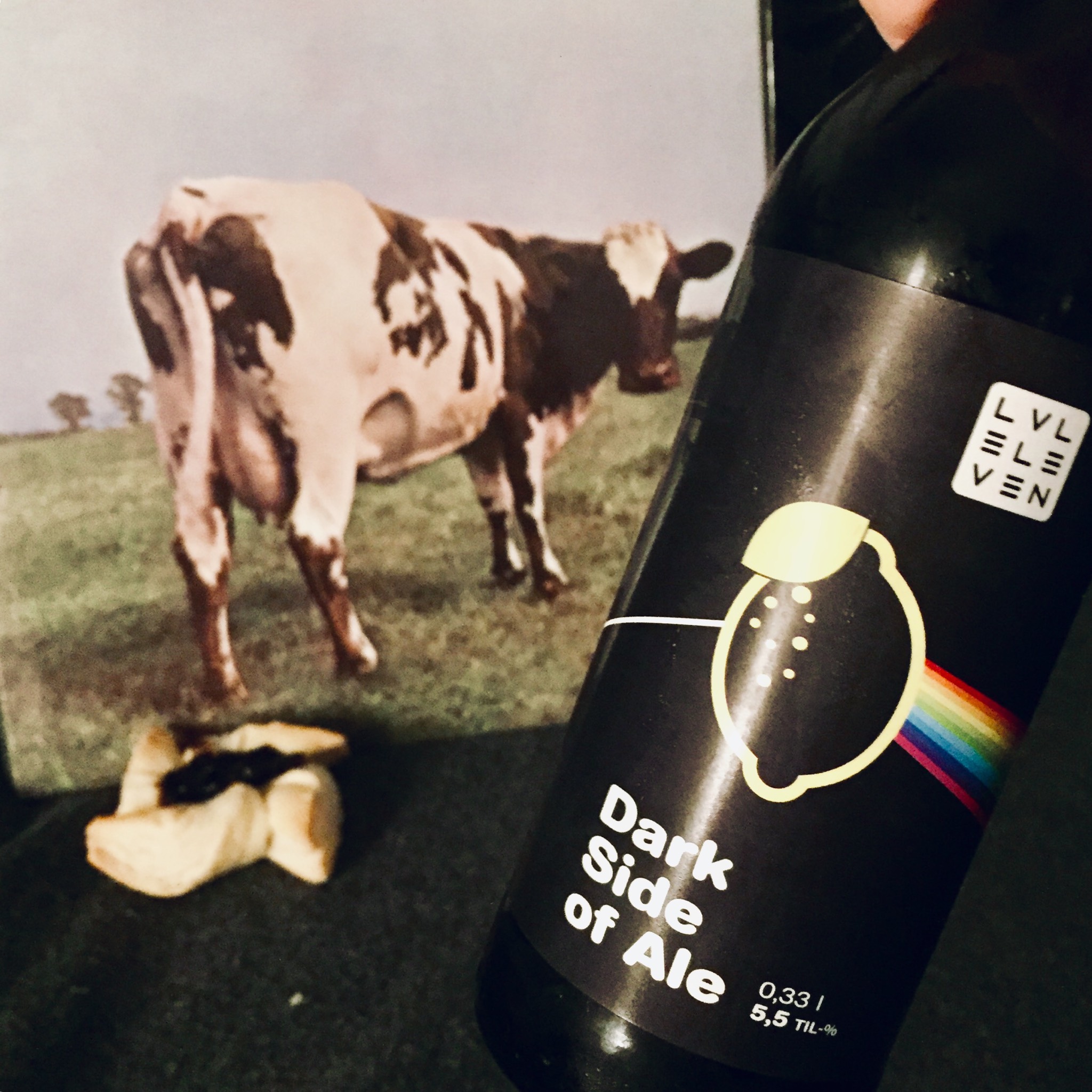 Dark Side of Ale, Finland